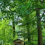 Le Camélia