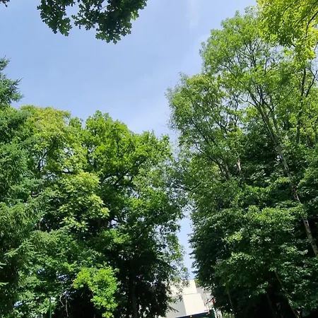 Le Camélia * Vaux-le-Pénil