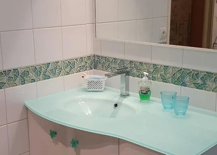 Le Camelia شقة *