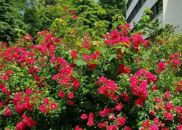 Le Camelia Vaux-le-Pénil